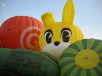Funny Bunny op een ballonmeeting in Nederland