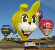 Funny Bunny op de meeting in Chamblay (F)