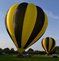 de grote en de kleine wesp